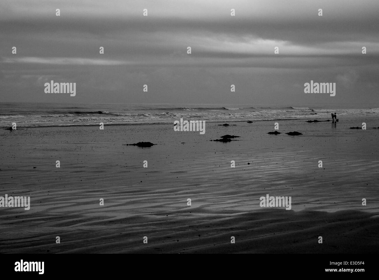 Gli uomini al lavoro, esche scavando Ulrome Yorkshire Regno Unito Foto Stock