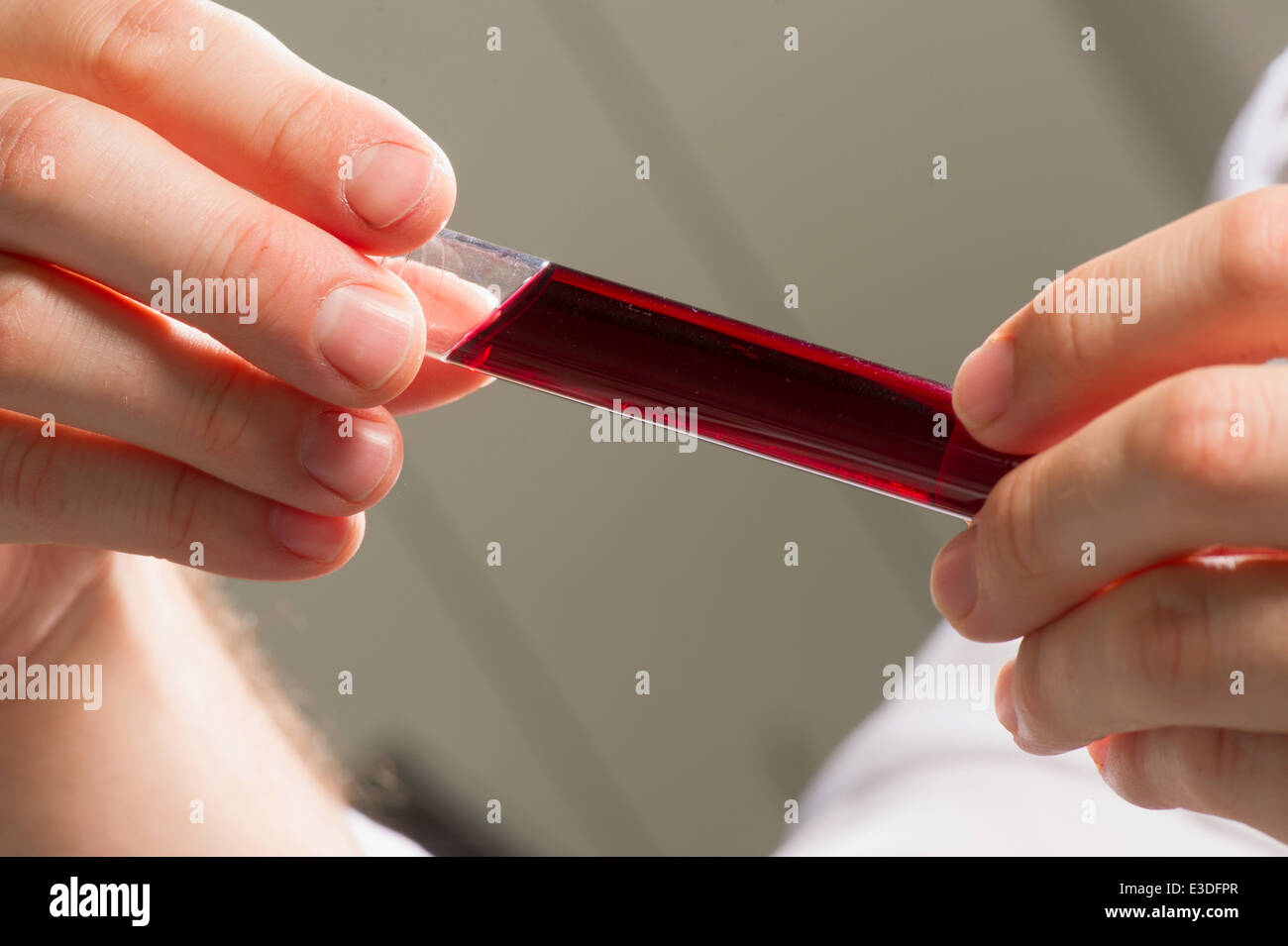Laboratorio, Scienza, scientifico, Ricerca, Salute e Medicina Foto Stock