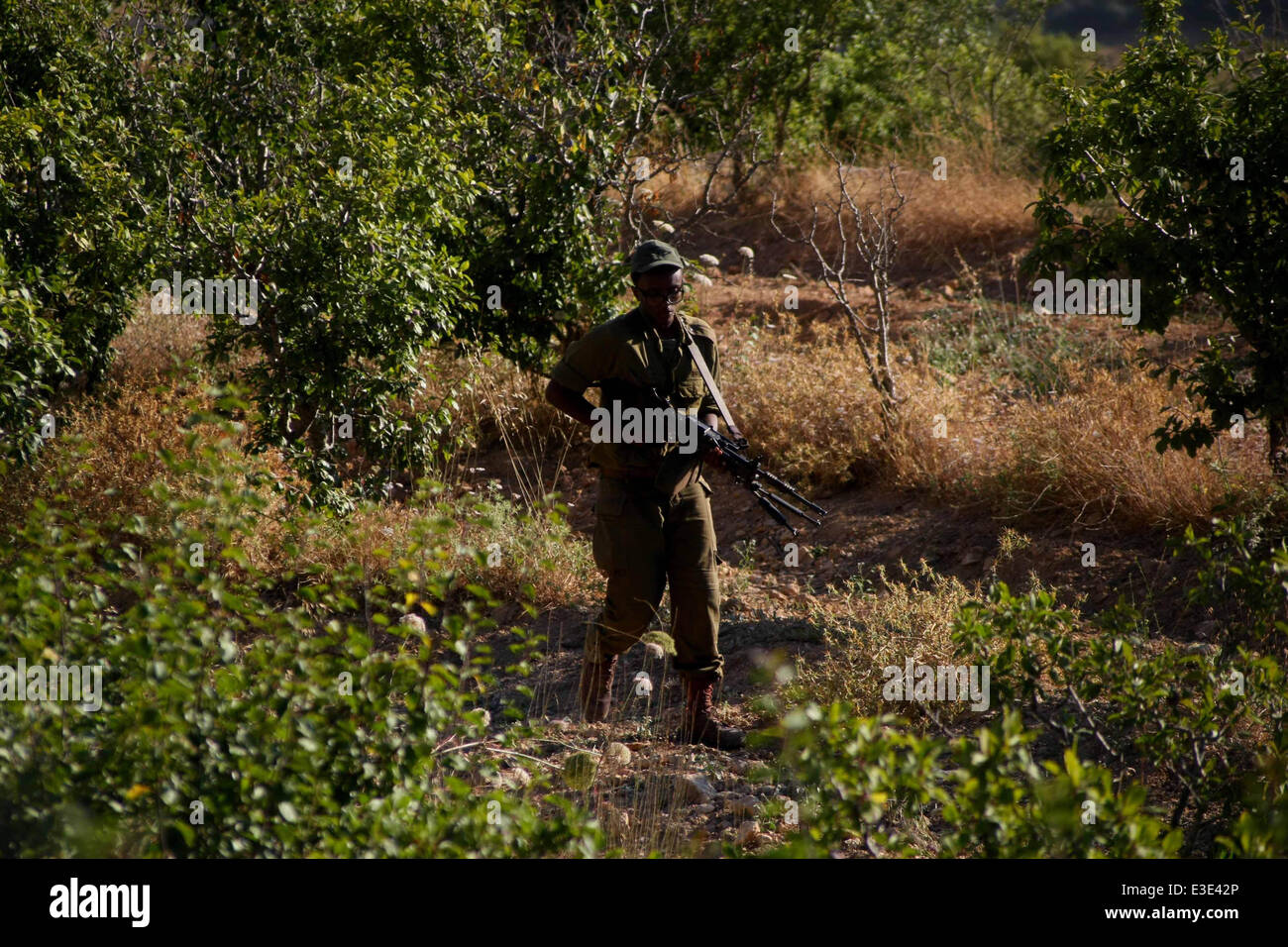 Halhul, West Bank, Territorio palestinese. Il 23 giugno, 2014. Un soldato israeliano cerca tre mancanti ragazzi israeliani, temeva rapite nella West Bank il 12 giugno nella città di Halhul vicino al West Bank città di Hebron il 23 giugno 2014. Israele ha arrestato più di 350 palestinesi, la maggior parte degli affiliati con il militante islamico di Hamas e hanno razziato alcuni 1.600 sedi. Israele ha accusato i sequestri su Hamas, che ha lodato l'atto, ma non rivendicato la responsabilità © Mamoun Wazwaz APA/images/ZUMAPRESS. Credito: ZUMA Press, Inc./Alamy Live News Foto Stock