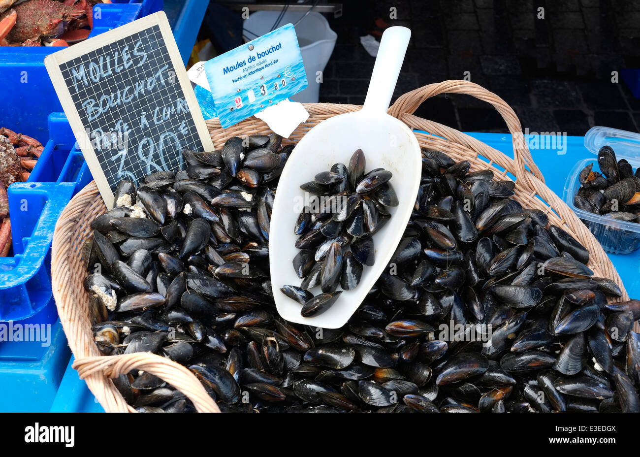 Cesto di cozze su frutti di mare Francese di stallo di mercato, Rennes, Brittany, Francia Foto Stock