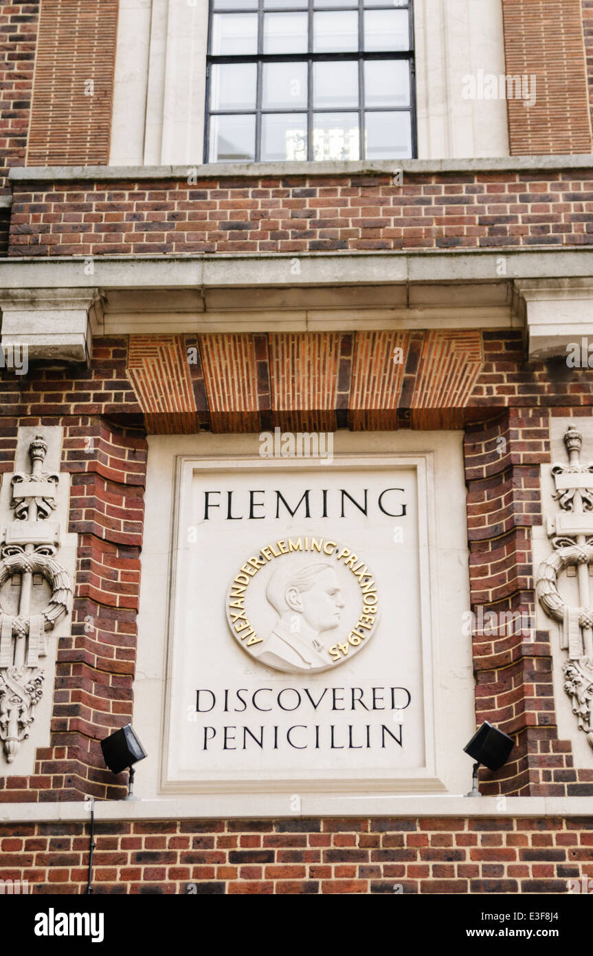 Memoriale di pietra a Alexander Fleming presso l'Imperial College di Londra, dove ha scoperto la penicillina Foto Stock