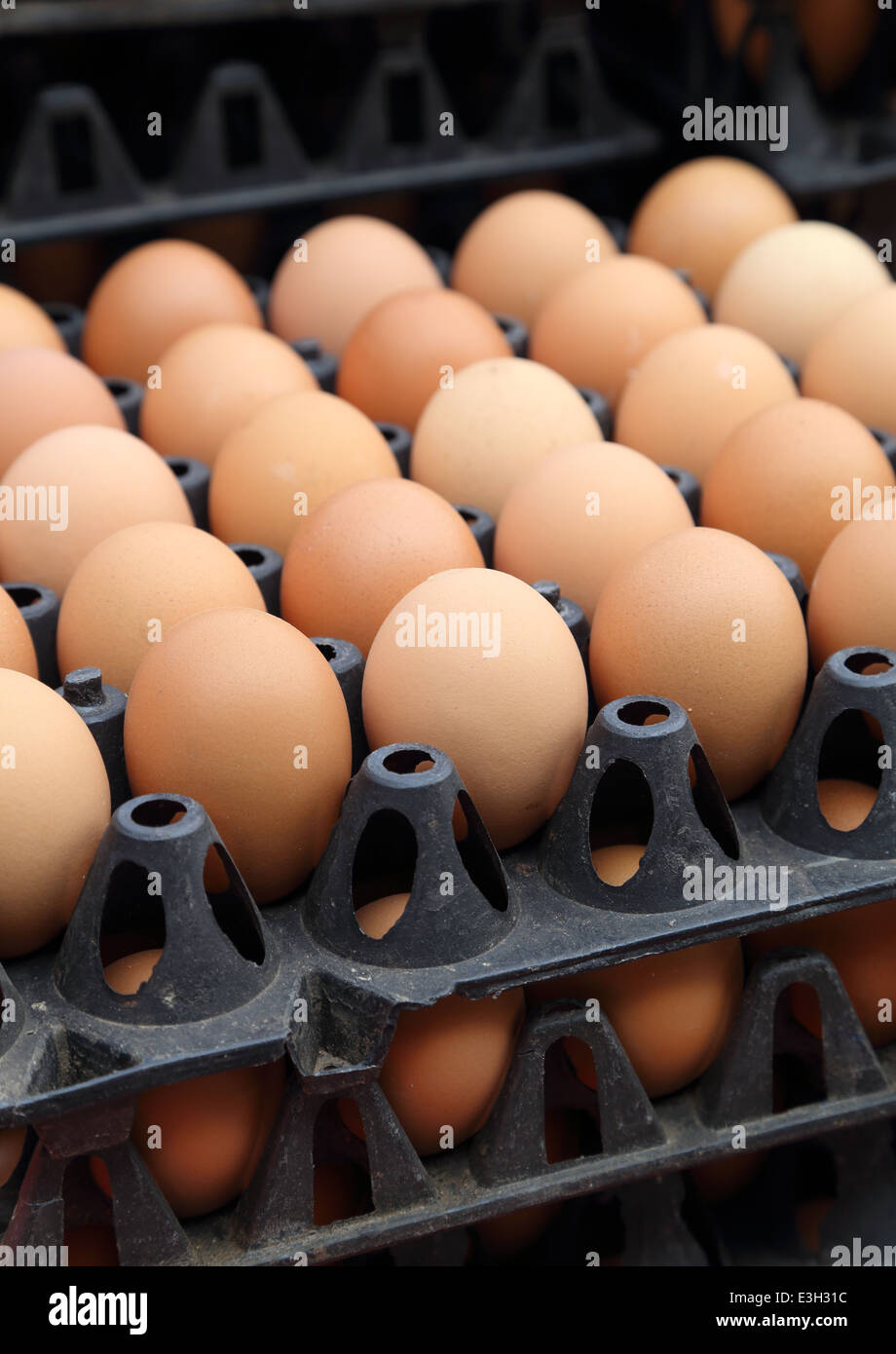 Uovo su vassoi sul mercato Foto Stock