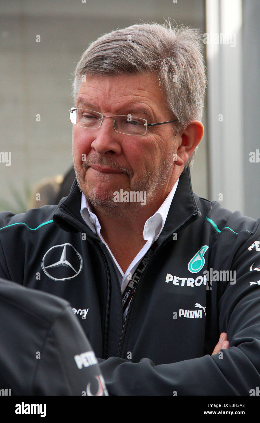 F1 2013 Stati Uniti Grand Prix al circuito delle Americhe - Pre Gara con: Ross Brawn dove: Austin, Texas, Stati Uniti quando: 14 Nov 2013 Foto Stock
