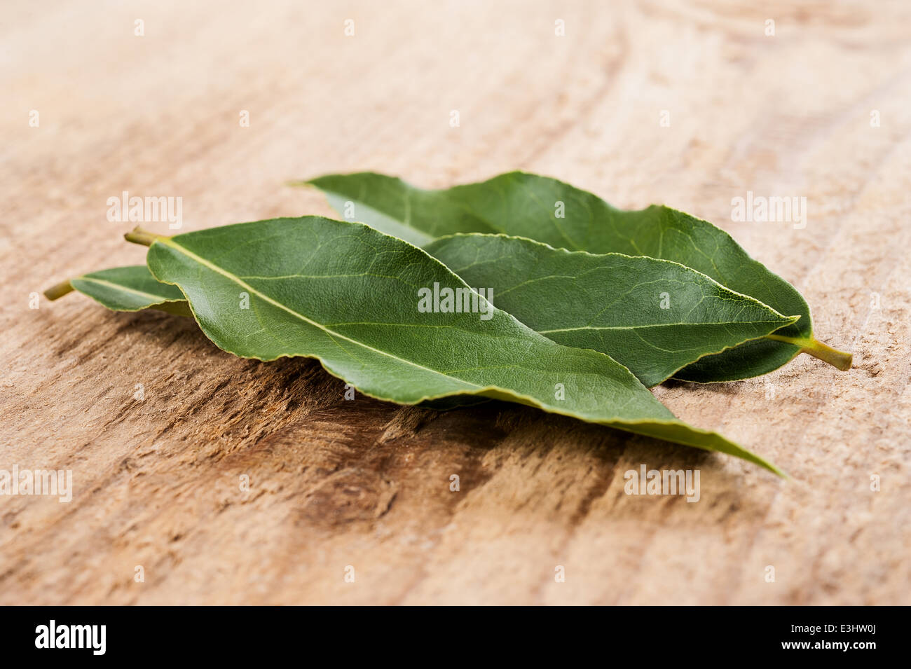 Foglie di alloro su uno sfondo di legno Foto Stock