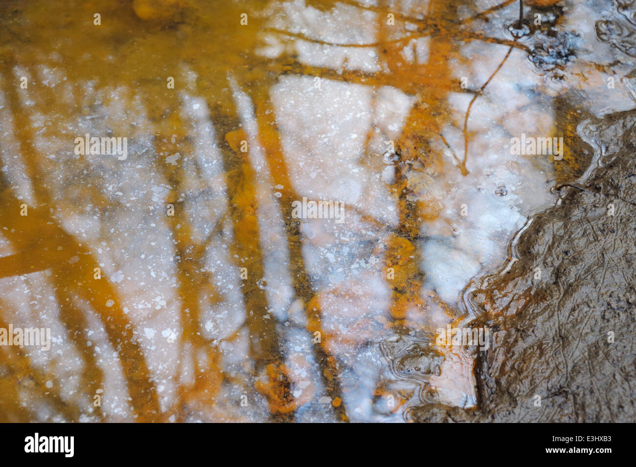 Nuvoloso depositi insolubili di ossidi di ferro e una frammentata sheen oleose prodotte dal ferro riducendo batteri, Wales, Regno Unito. Foto Stock