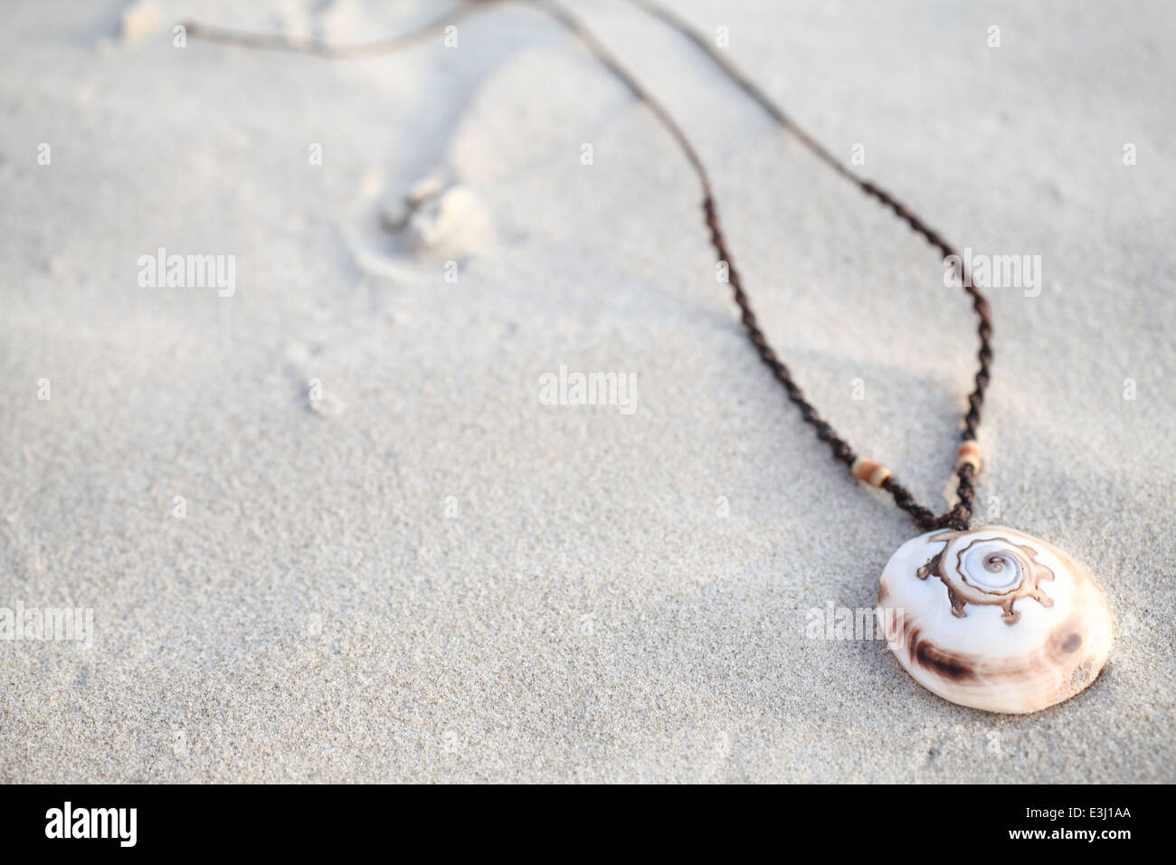 Collana di conchiglie sulla sabbia Foto Stock