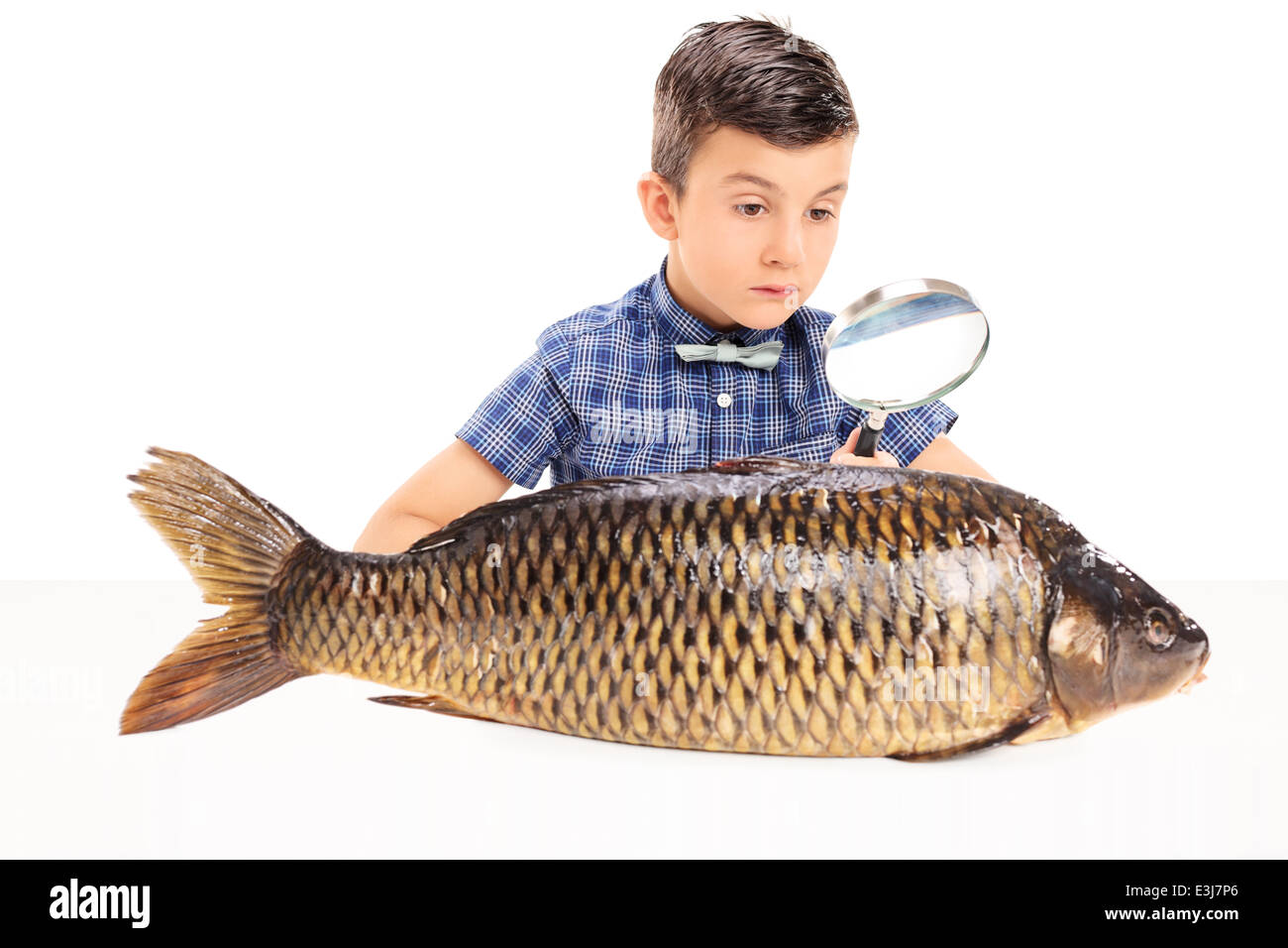 Ragazzo esaminando un pesce con lente di ingrandimento Foto Stock