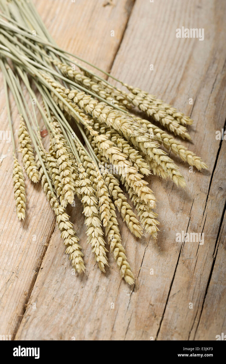 mazzo di spighe decorative di grano giallo in vaso di vetro verde  trasparente sulla parte superiore dello sgabello Foto stock - Alamy