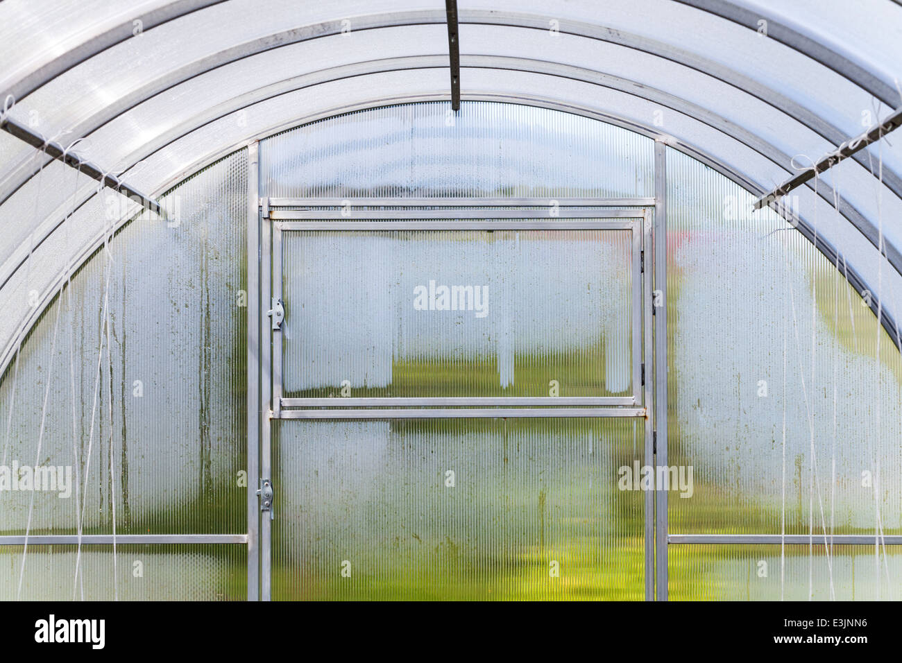 Frammento di serra moderno interno con pareti umide Foto Stock