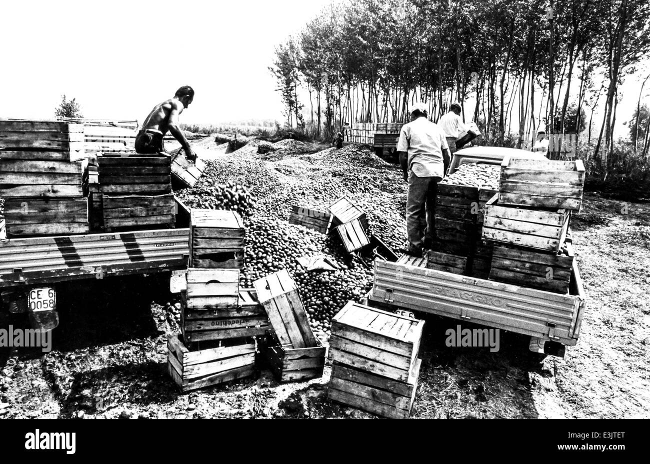 Archivio storico calabria immagini e fotografie stock ad alta