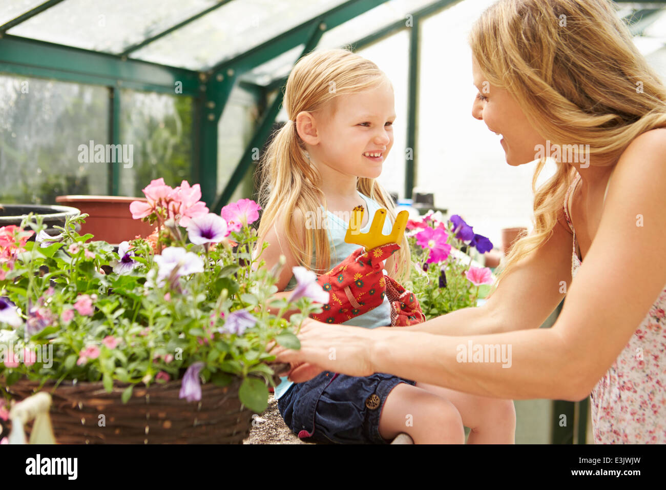 Madre e figlia e la coltivazione di piante in serra Foto Stock