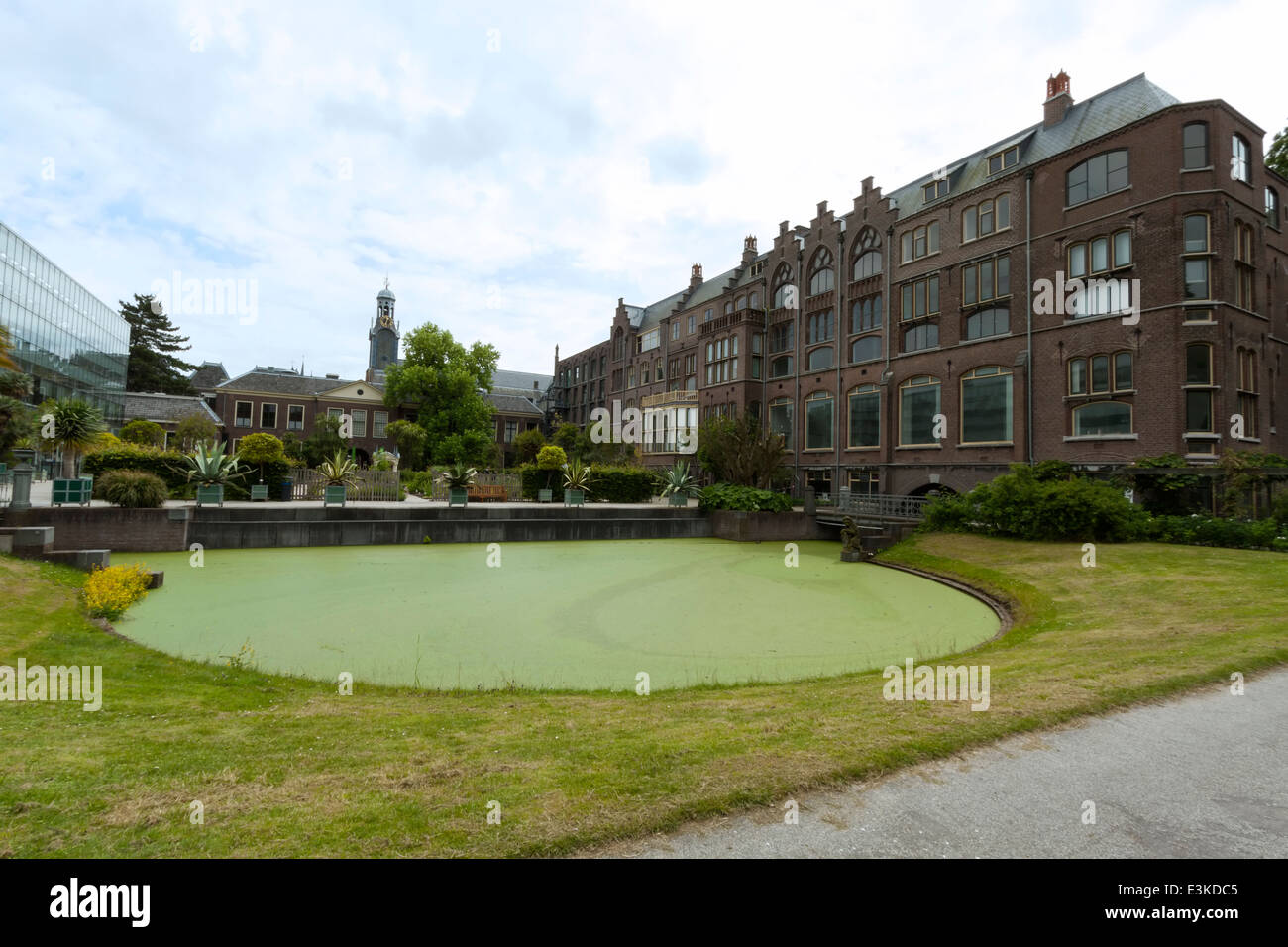 Ampio angolo di visione da Hortus Botanicus sul giardino di inverno di serra e di cassone e l'edificio dell'Accademia, Leiden, Paesi Bassi. Foto Stock