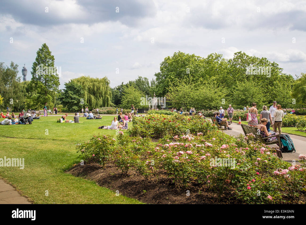 Persone nel Giardino di Rose, Regents Park, London, England, Regno Unito Foto Stock