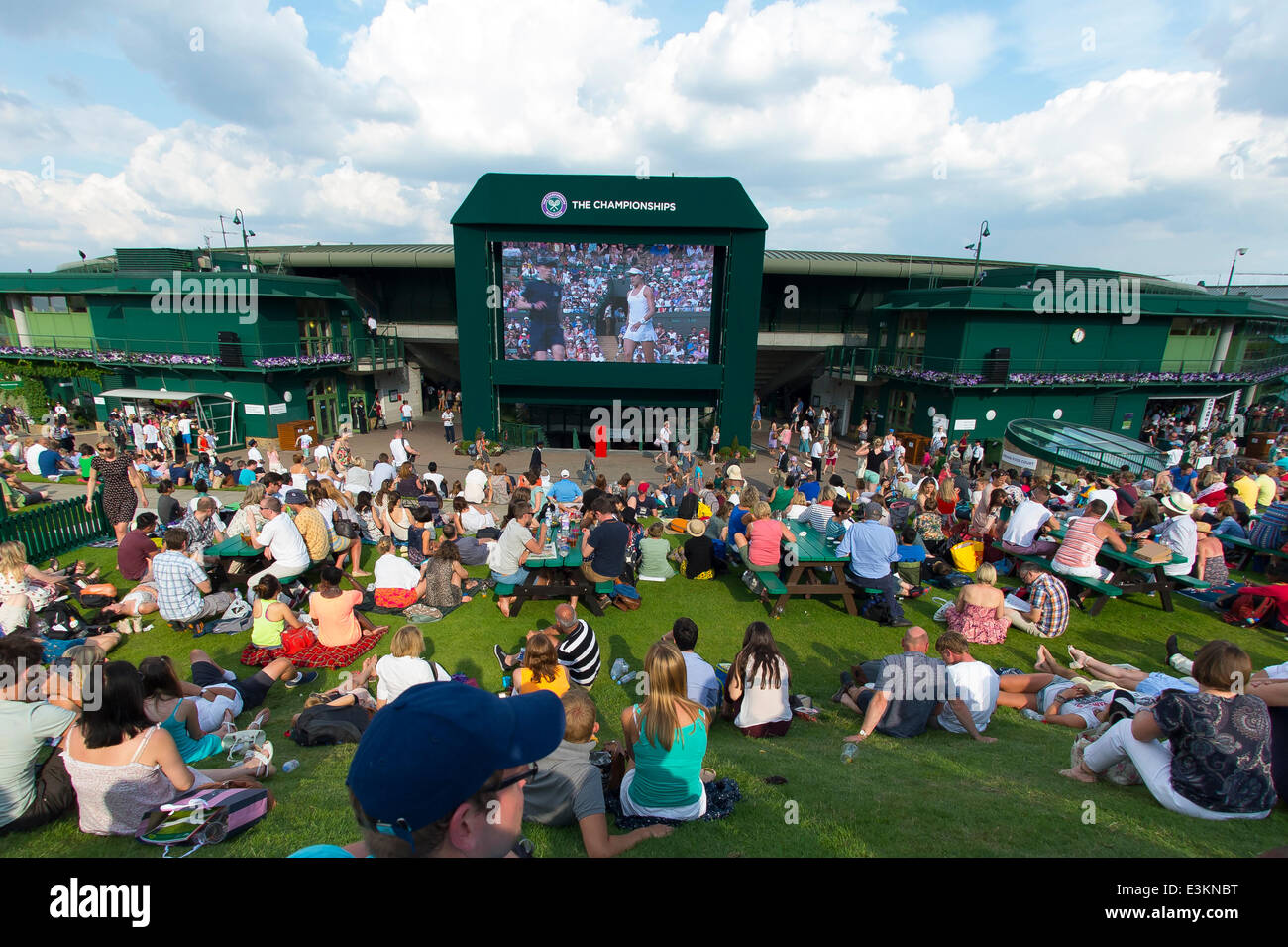 Londra, Regno Unito. Il 24 giugno 2014. Wimbledon Tennis Championships spettatore guarda Eugenie Bouchard del Canada contro Daniela Hantuchova della Slovacchia sulla Henman Hill durante il giorno due signore sceglie il primo round in abbinamento alla Wimbledon Tennis campionati a tutti England Lawn Tennis Club di Londra, Regno Unito. Credito: Azione Sport Plus/Alamy Live News Foto Stock