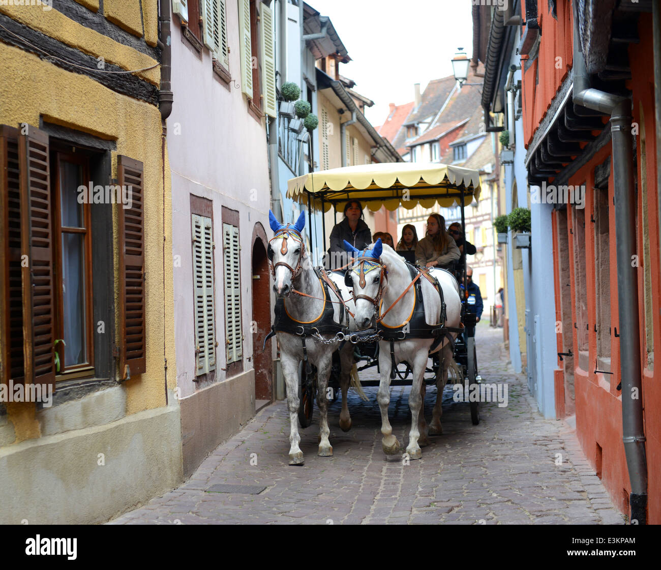 Cavallo e pullman turistico carrello Colmar regione Alsace Francia Foto Stock