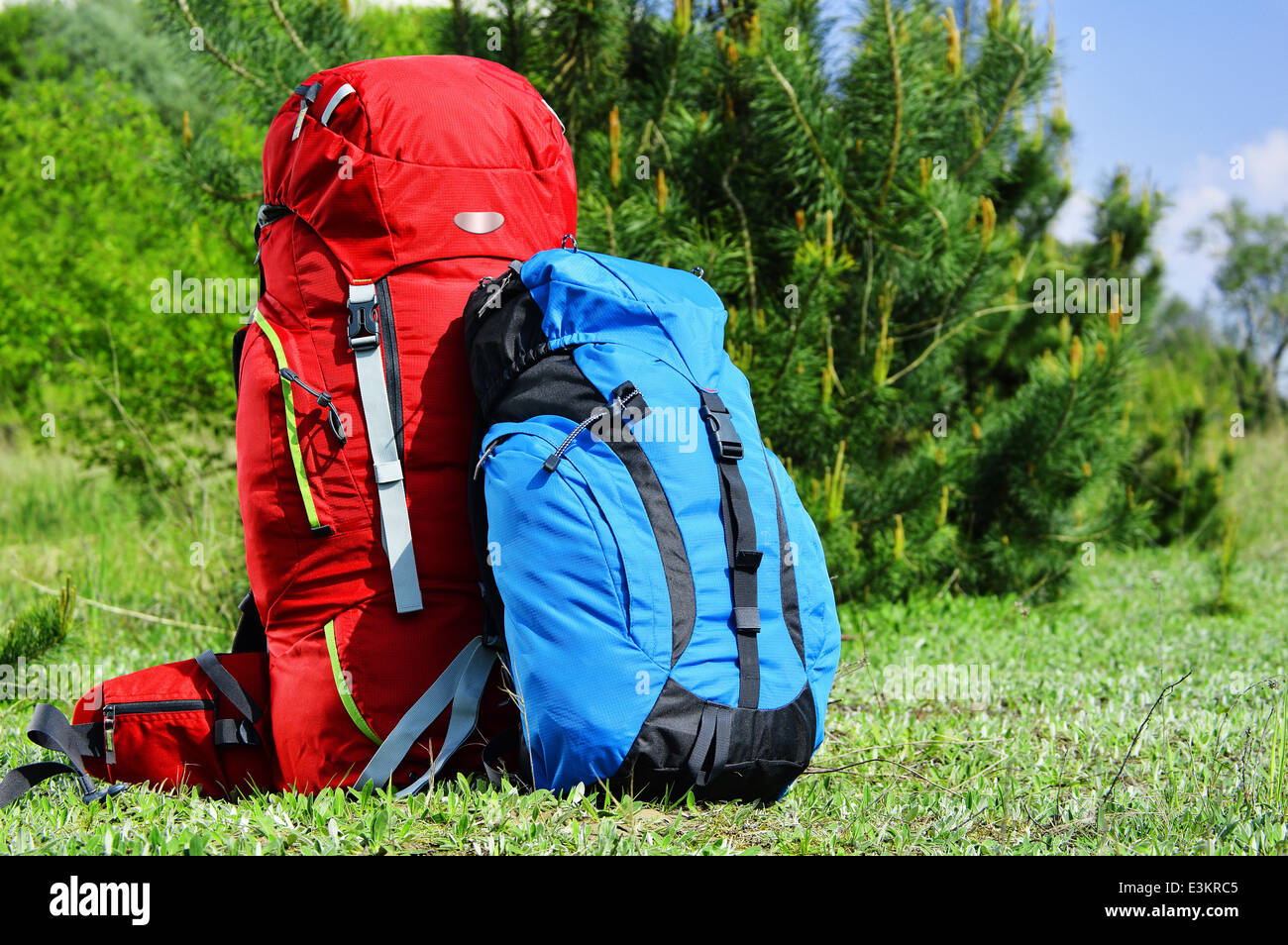 Due zaini turistica sul prato Foto Stock