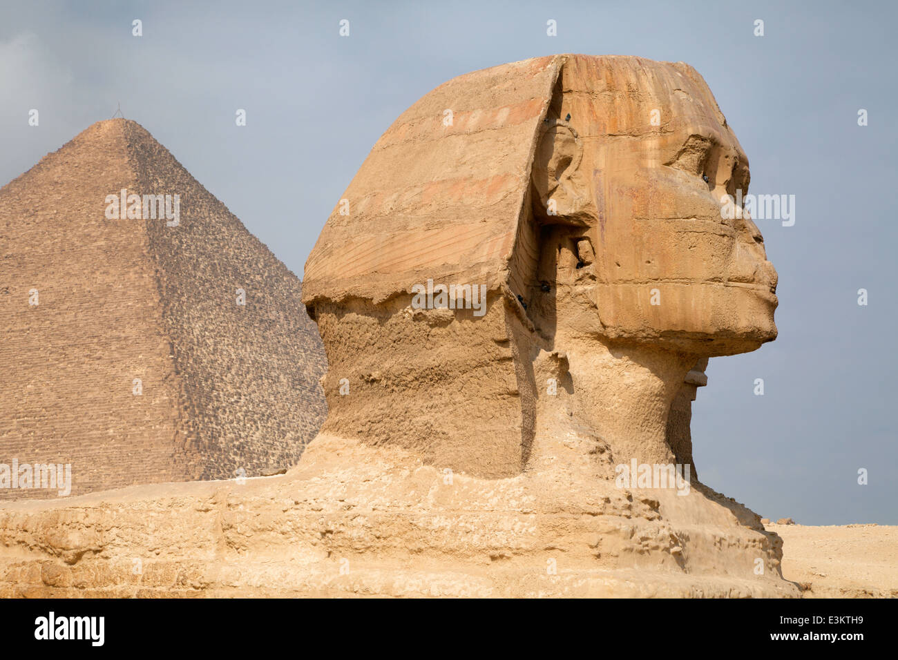Vista ingrandita della testa della Sfinge, Il Cairo, Egitto Foto Stock