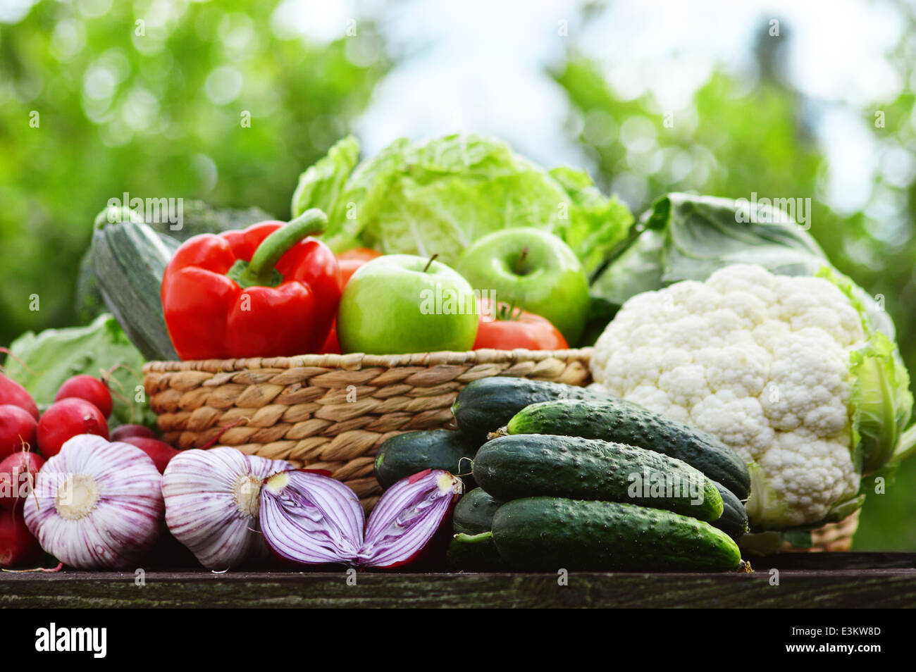 Fresche verdure organiche nel cesto di vimini in giardino Foto Stock