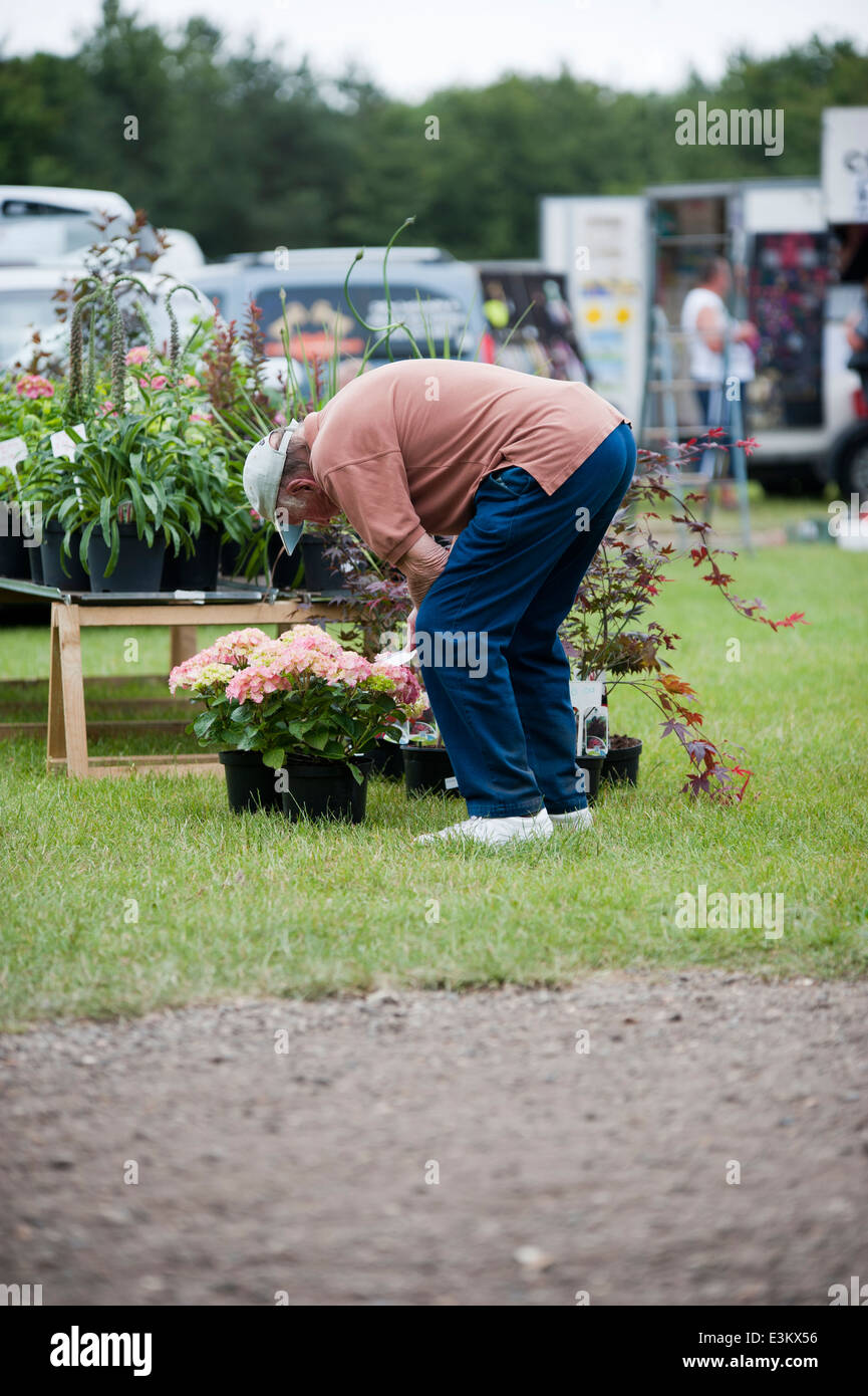 Domenica mattina mercato Foto Stock