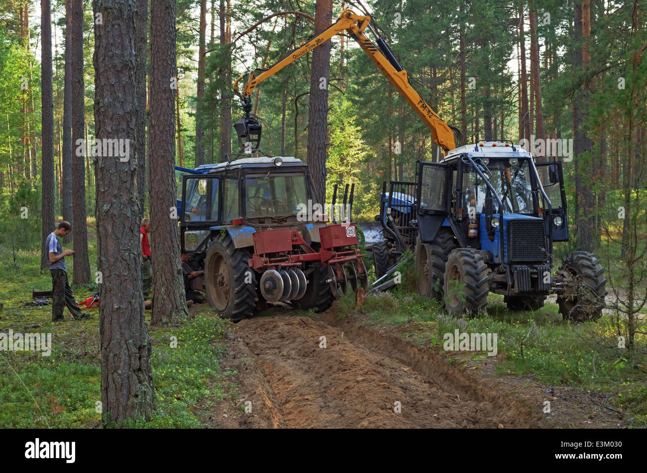 Rottura del trattore in legno. Il trattore arare un solco di divisione luoghi di foresta a firestorm. Foto Stock