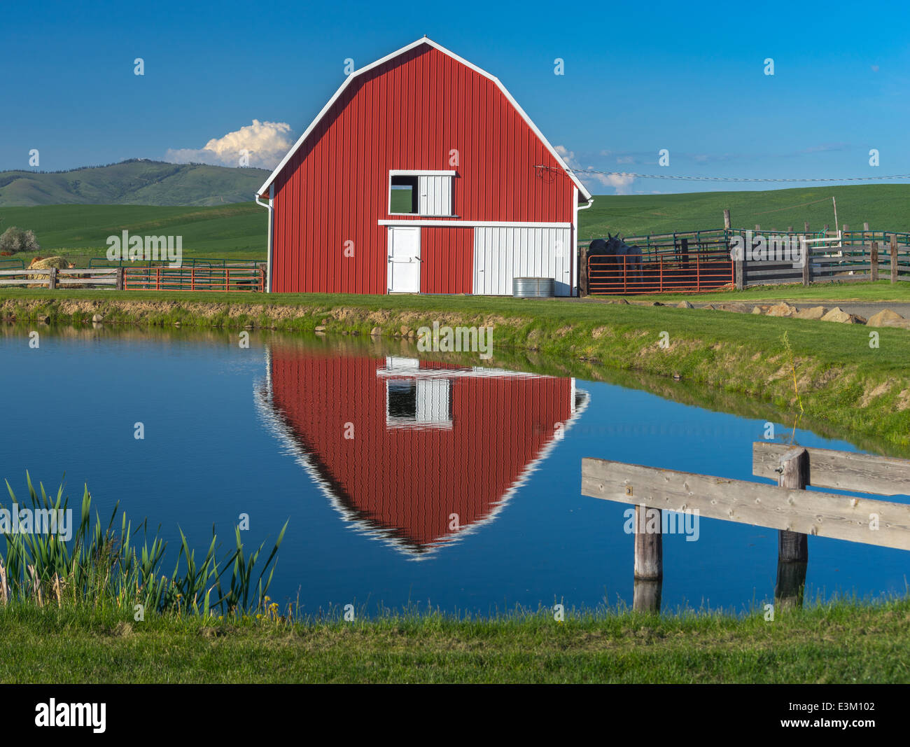 Il Palouse, Whitman County, WA: granaio rosso e riflessione di stagno Foto Stock