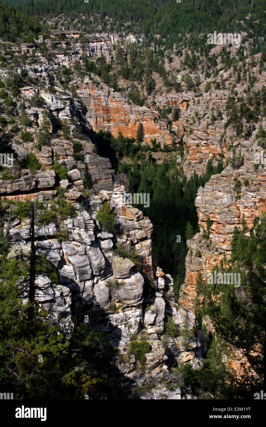 West Clear Creek Wilderness, nella Coconino National Forest, Arizona, offre un'area incontaminata e protetta per la fauna selvatica e le specie vegetali autoctone, come parte degli sforzi di conservazione federale in corso. Foto Stock