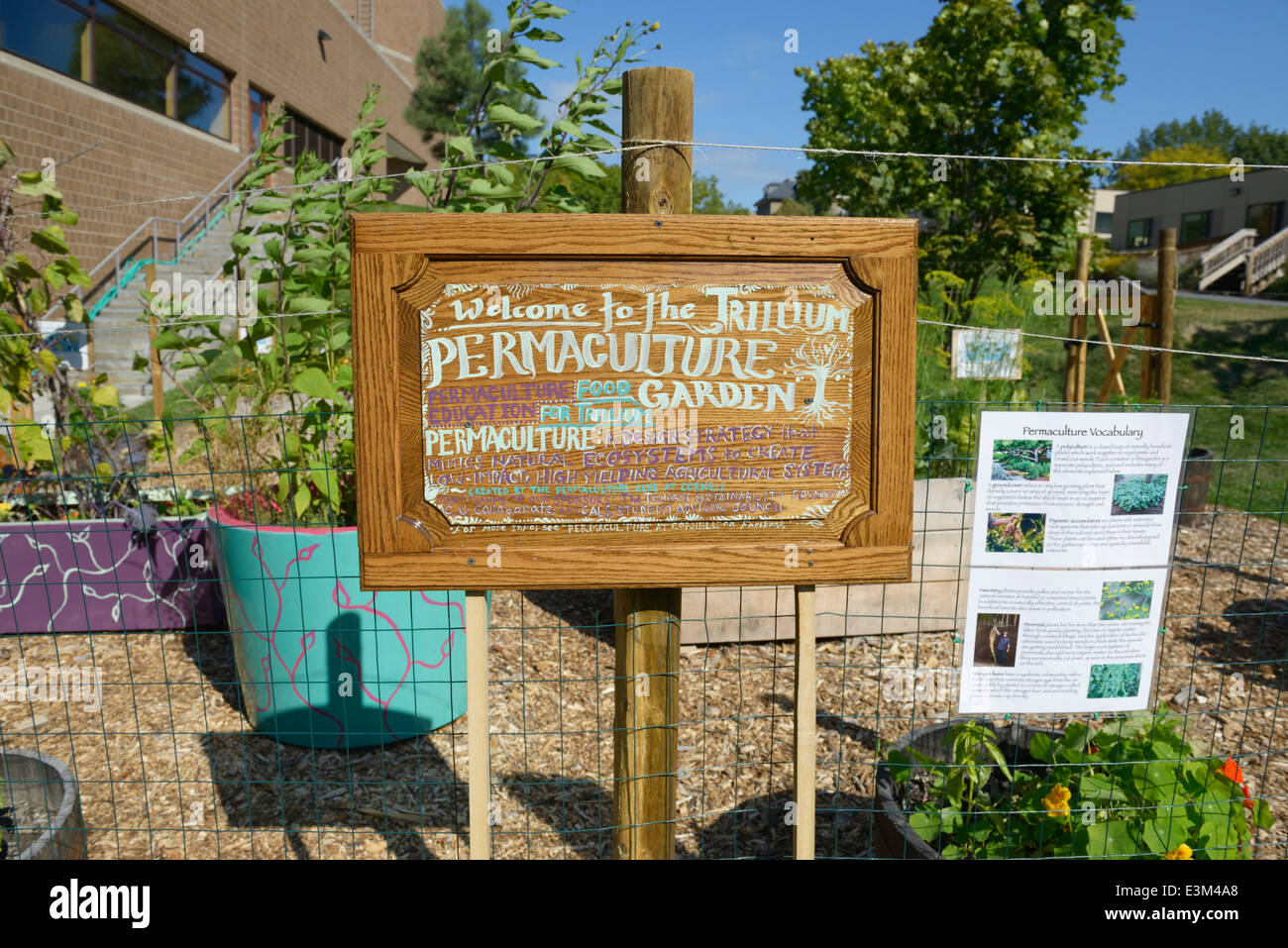 Permacultura sperimentale giardino, Cornell University Foto Stock