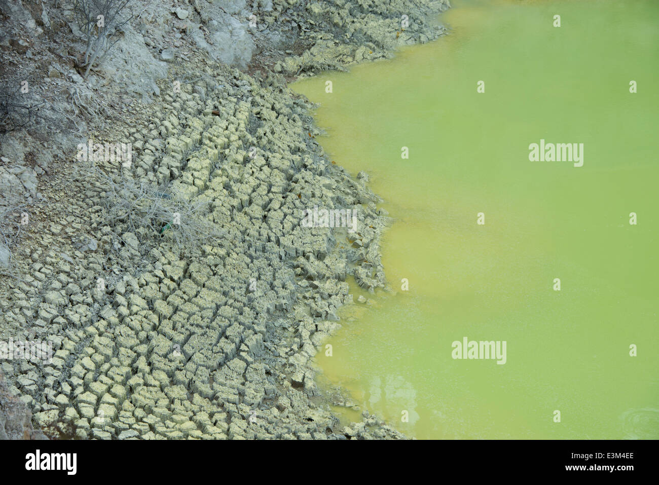 Nuova Zelanda, Isola del nord, Rotorua, Taupo zona vulcanica. Wai-o-tapu Valley. Devil's bagno, calce naturale piscina verde. Foto Stock