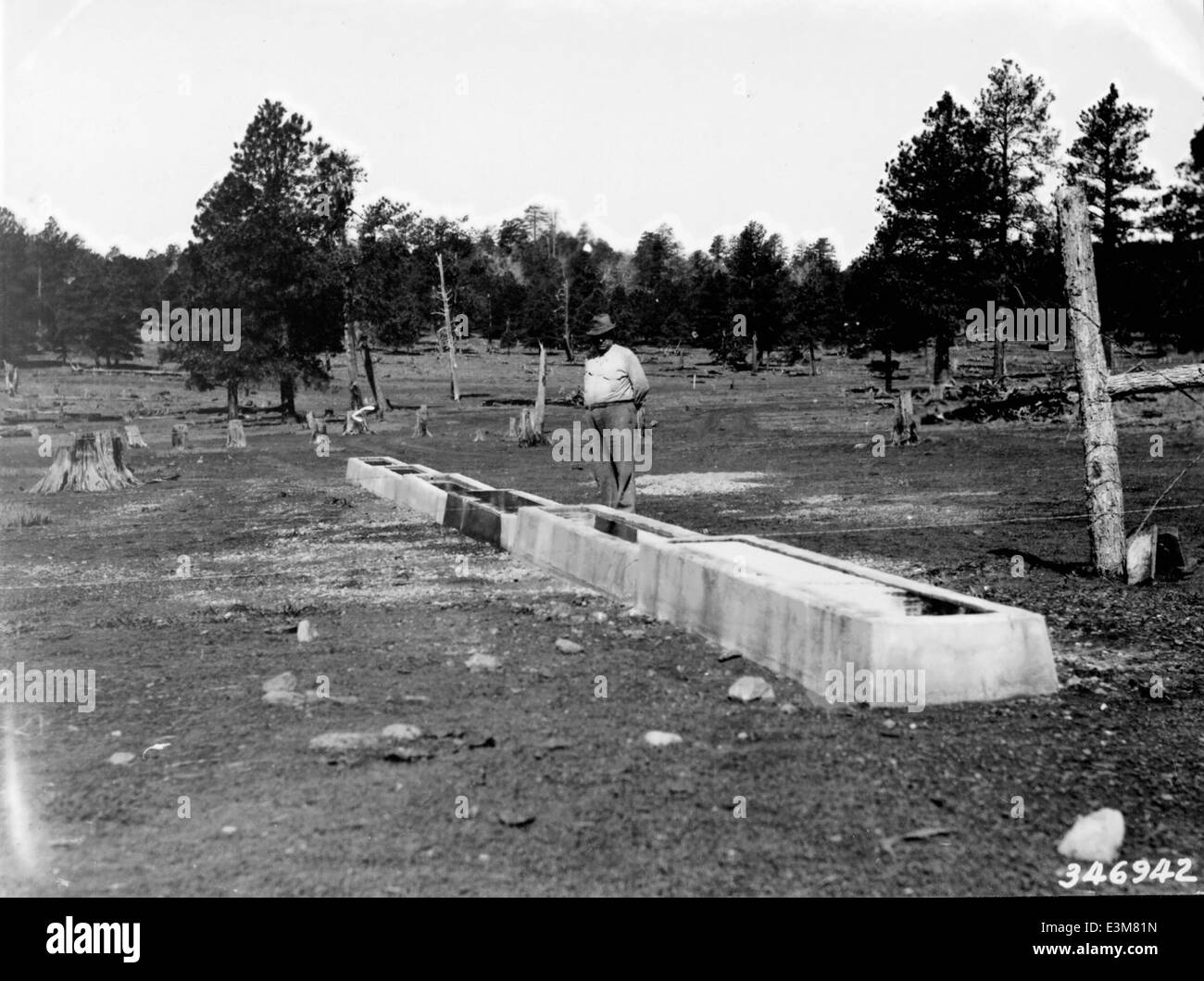 Summit Springs, situata nella Kaibab National Forest, è un sito storico che un tempo fungeva da vitale sviluppo primaverile per la foresta. Rimane un importante punto di riferimento nella lunga storia della gestione delle risorse e degli sforzi di conservazione della foresta. Foto Stock