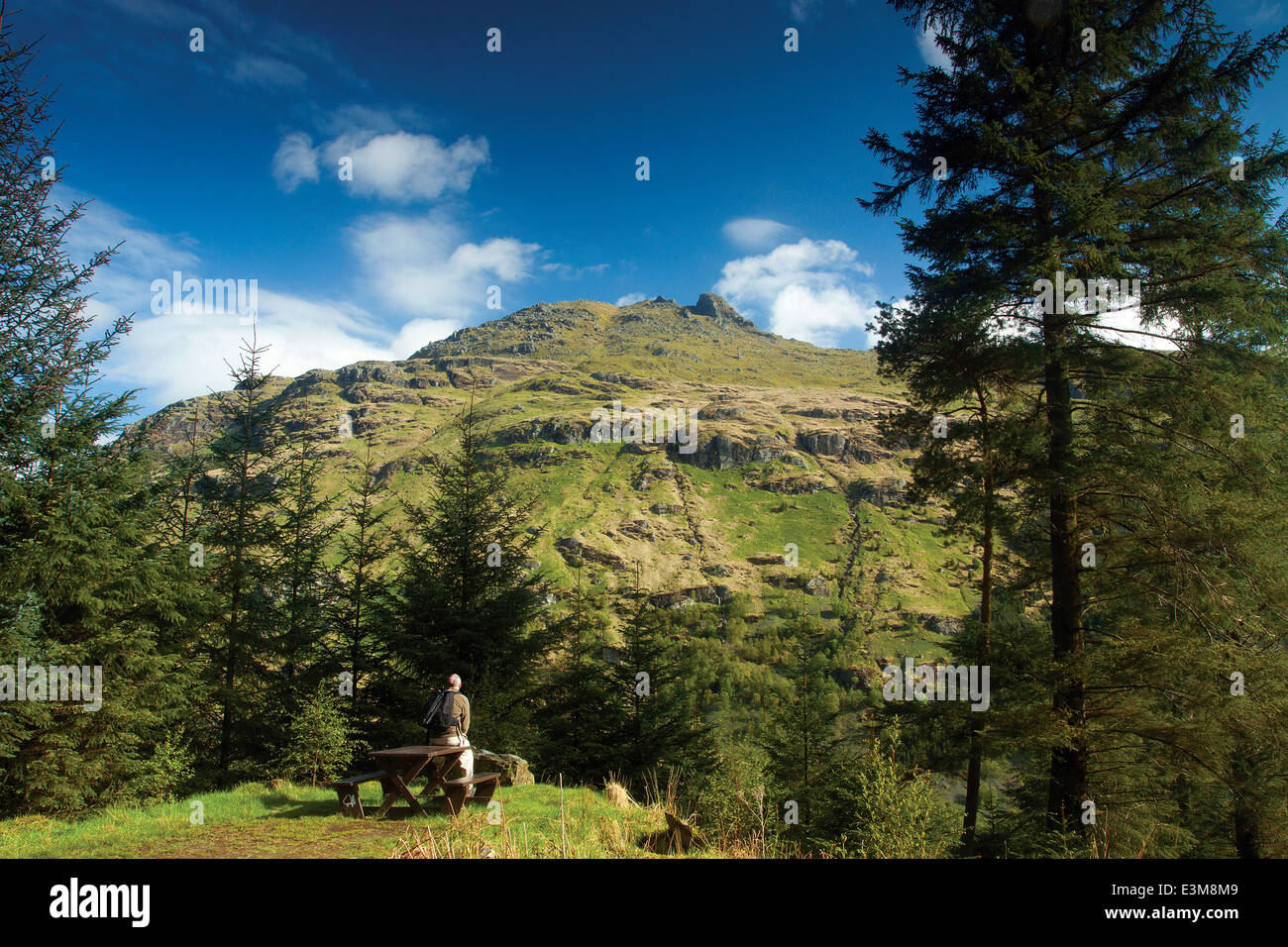 Il ciabattino (Ben Arthur) dal Cat Craig Loop, l'Argyll Forest Park e al di sopra di Glen Croe, Argyll & Bute Foto Stock
