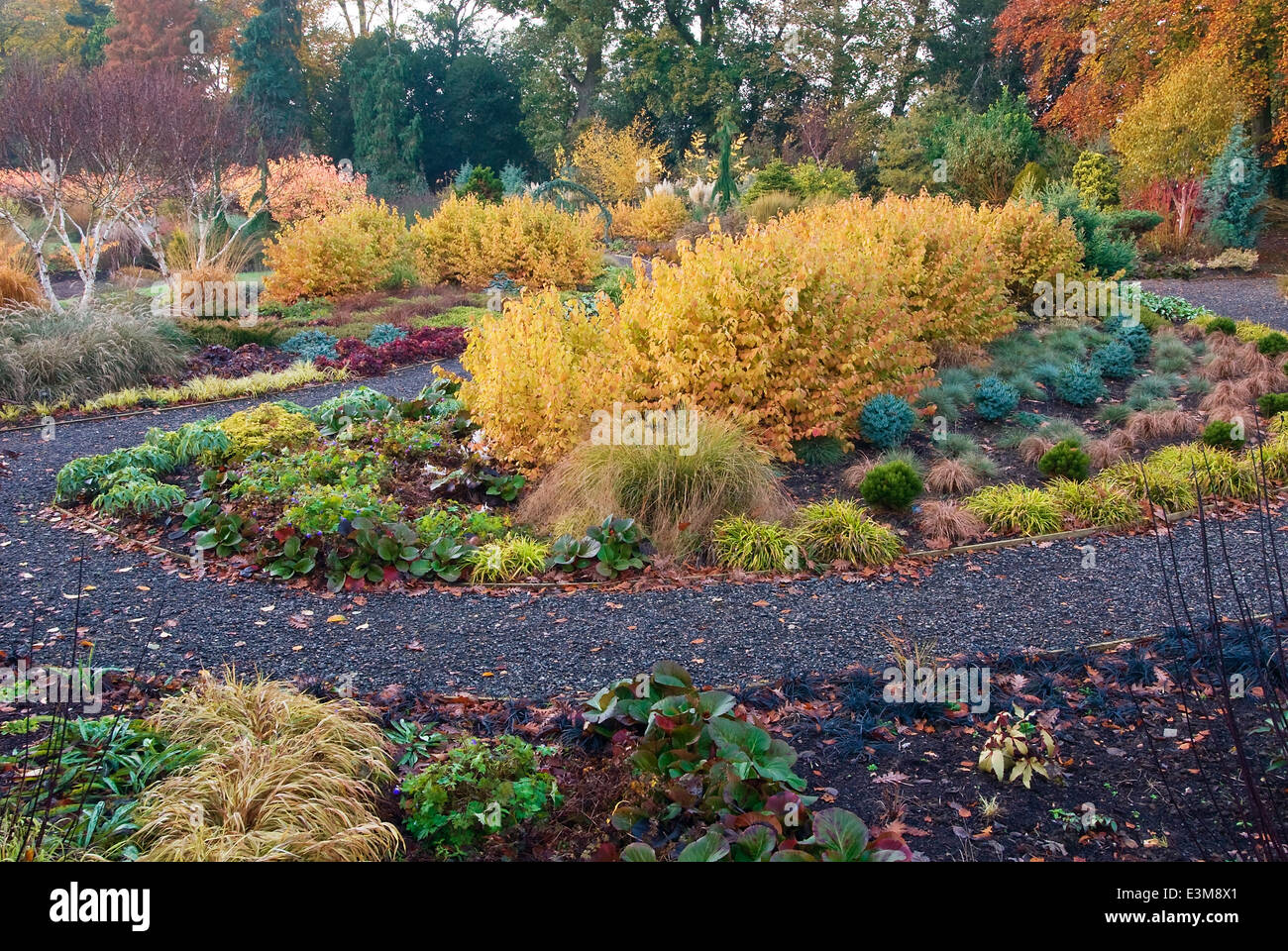 Il giardino di inverno in autunno. Giardini Bressingham, Norfolk, Regno Unito, design: Adrian Bloom. Foto Stock