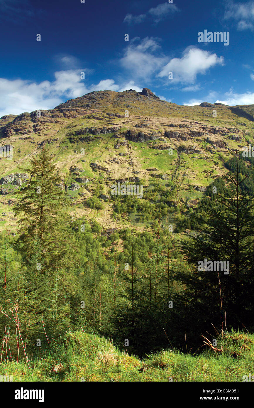 Il ciabattino (Ben Arthur) dal Cat Craig Loop, l'Argyll Forest Park e al di sopra di Glen Croe, Argyll & Bute Foto Stock