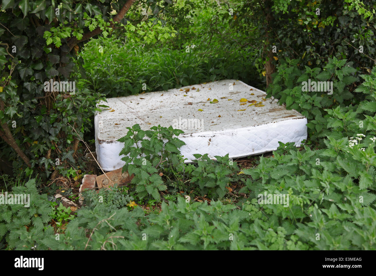 Un materasso e tappeti in oggetto di dumping nella campagna, rovinando la zona - quello di qualcun altro problema ! Foto Stock