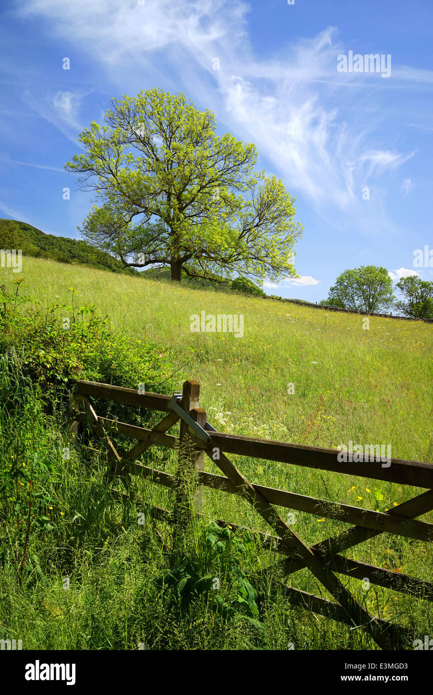 UK,Peak District,Derbyshire,Bradwell,Gateway per Prato Foto Stock