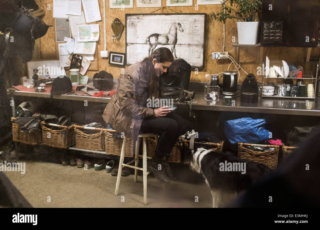 Per tutta la lunghezza della giovane donna utilizzando smart phone in stabile Foto Stock