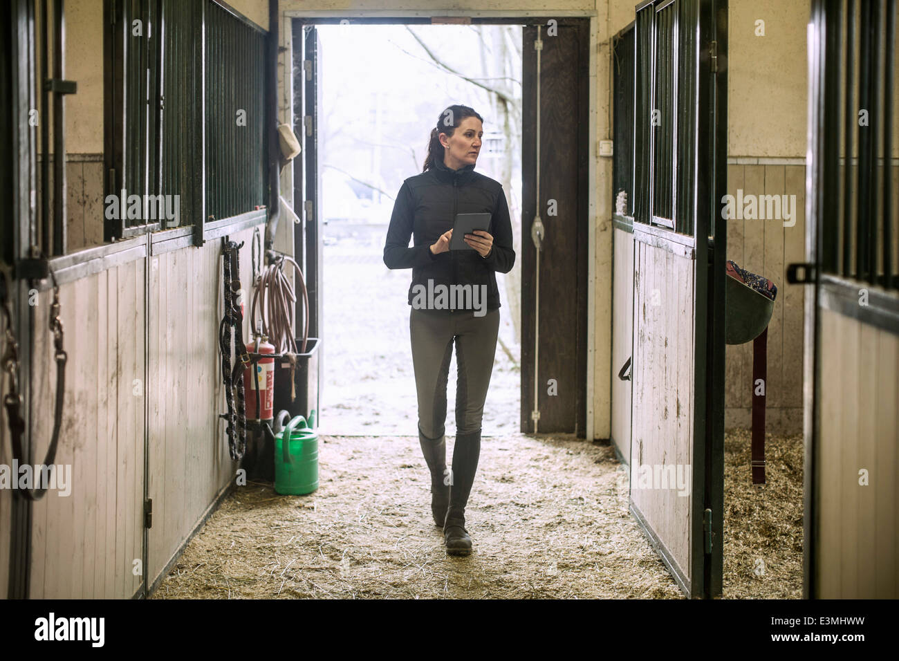 Per tutta la lunghezza della metà donna adulta con tavoletta digitale a cavallo stabile Foto Stock