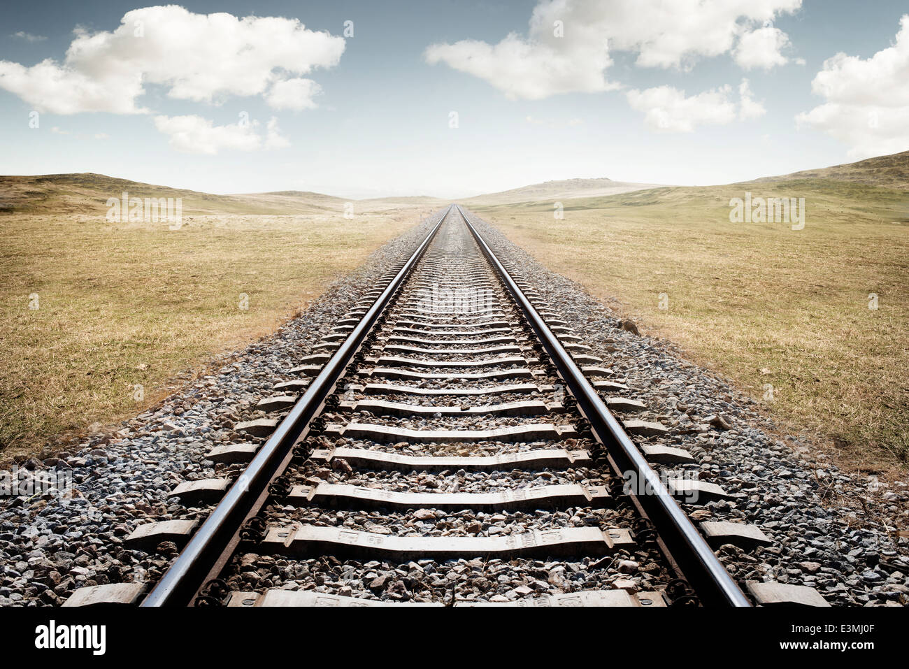 I binari ferroviari. Un lungo cammino ancora da percorrere. Foto Stock