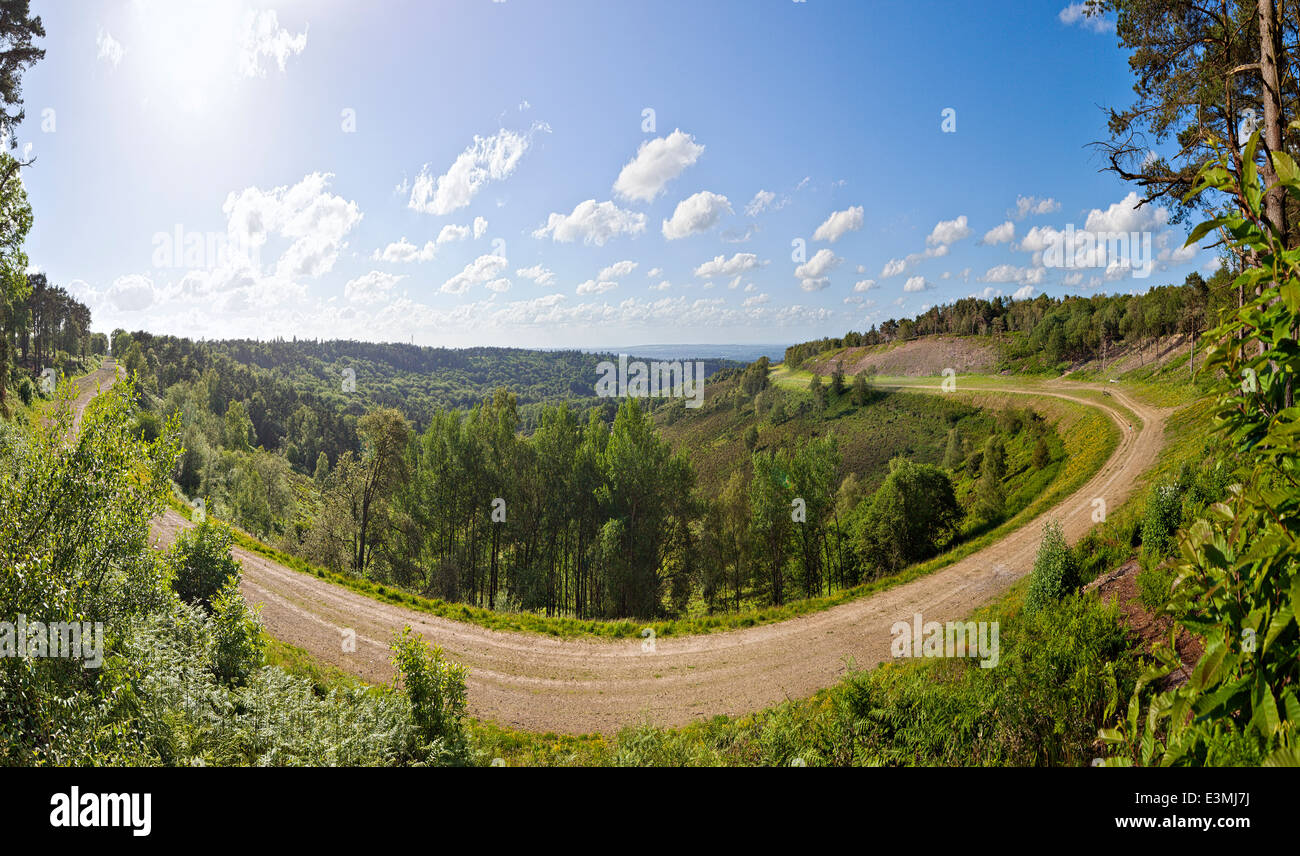 La posizione del vecchio A3 Londra a Portsmouth Road a Hindhead, dopo essere stato ripristinato torna alla brughiera. Foto Stock