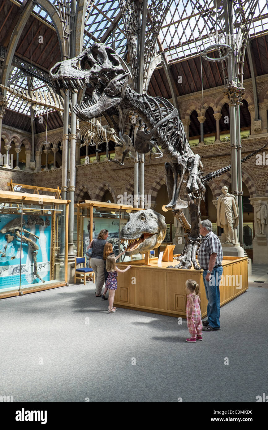 Gli ospiti con bambini visualizzazione mostravano un Tirannosauro Rex fossile presso il Museo di Storia Naturale di Oxford, Oxfordshire, Regno Unito Foto Stock