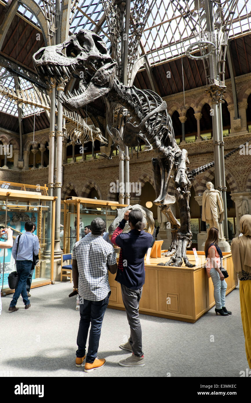 Visitatori visualizzazione e fotografare un esposto Tyrannosaurus rex fossile presso il Museo di Storia Naturale di Oxford, Oxfordshire, Regno Unito Foto Stock