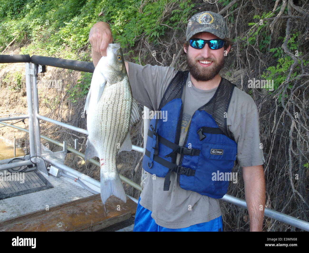 L'Illinois Department of Natural Resources utilizza tecniche di elettropesca sui fiumi Illinois e Ohio per studiare le popolazioni ibride di bassi. Questa ricerca, finanziata dal programma Wildlife Sport Fish Restoration, aiuta a monitorare la salute dei pesci e a migliorare la gestione della pesca. Foto Stock