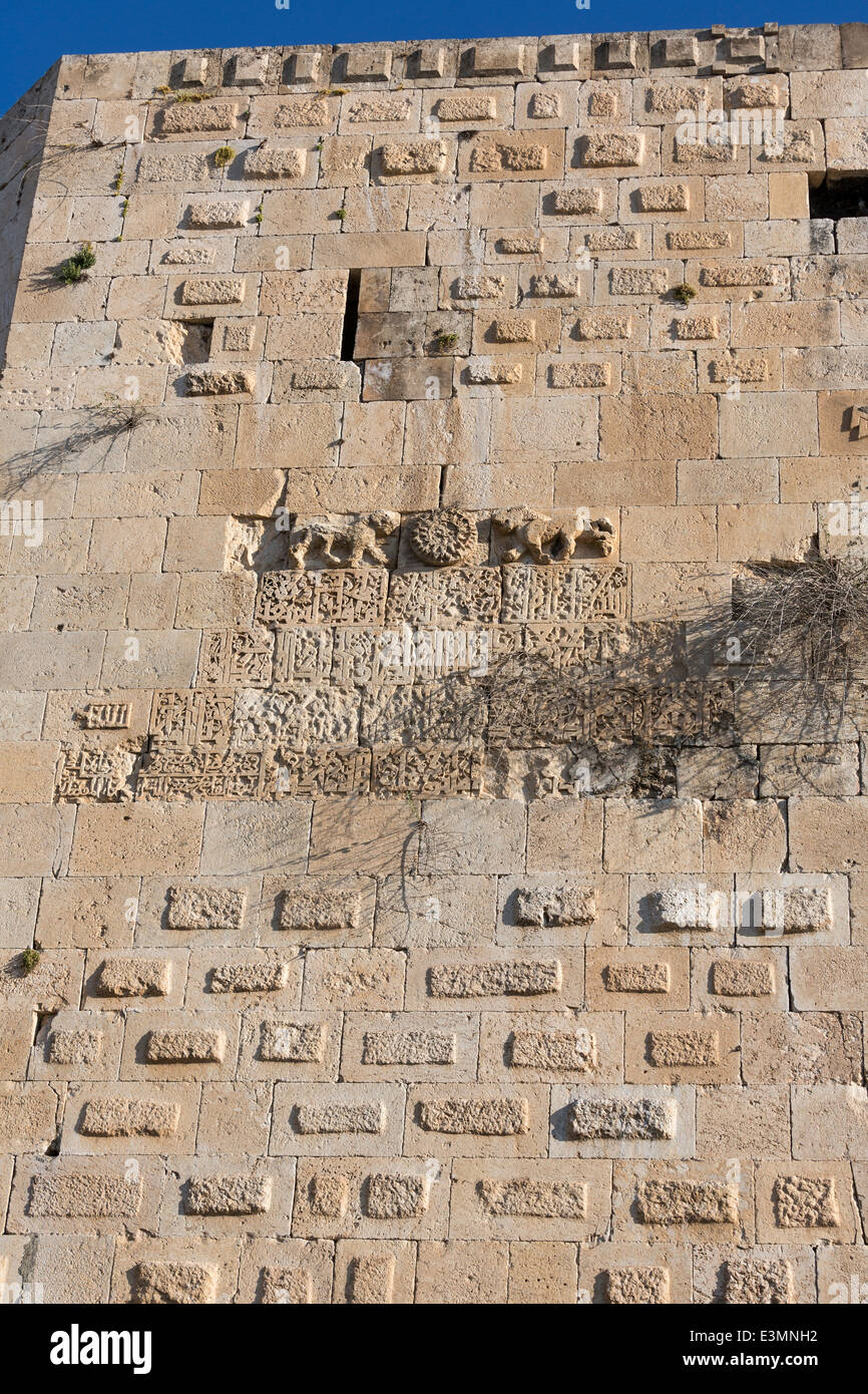 Dettaglio della torre con i lions e iscrizione, fortezza, Silvan, Turchia Foto Stock