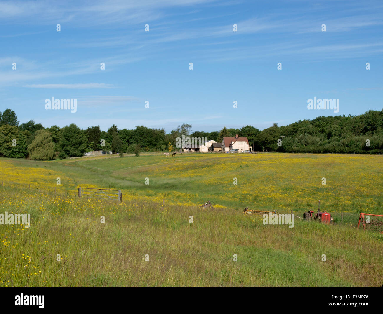 Vista sul prato di erba selvatica con casa colonica in distanza, REGNO UNITO Foto Stock
