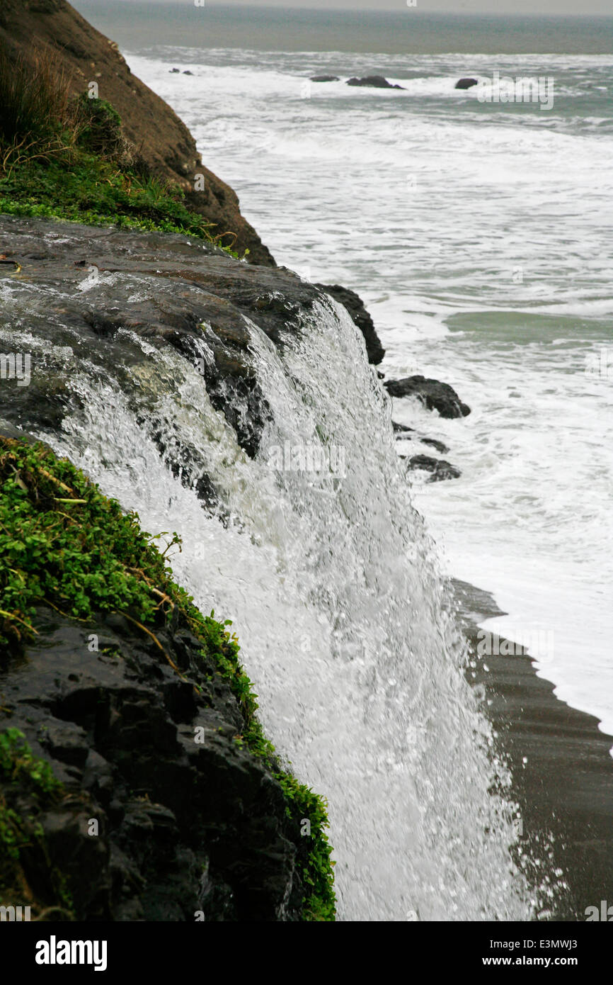 ALAMERE FALLS scende nell'OCEANO PACIFICO - POINT REYES National Seashore, CALIFORNIA Foto Stock