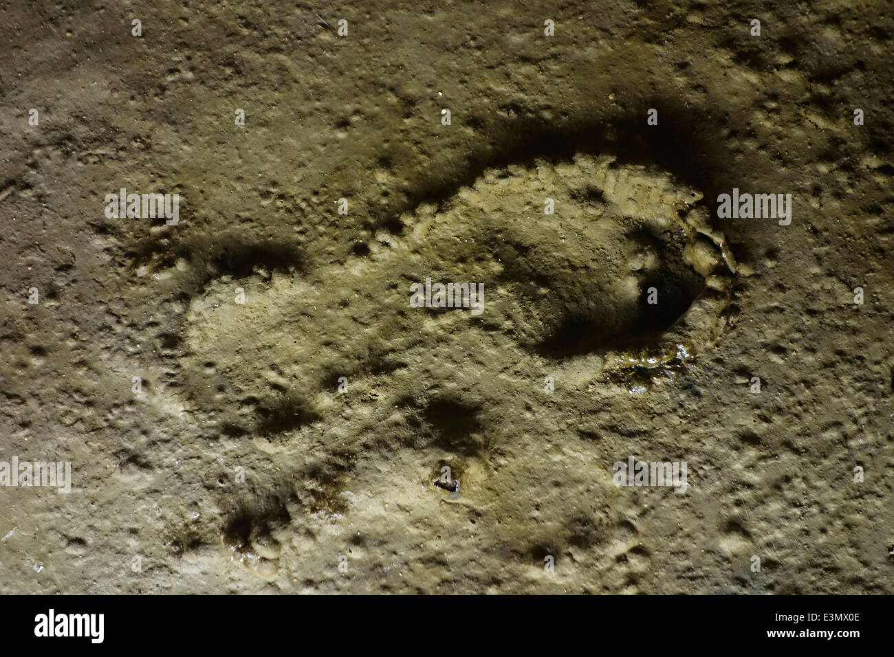 Footprint di Cro-Magnon bambino impresso in argilla alla Pech Merle grotta, Cabrerets, Lot, Midi-Pirenei, Francia Foto Stock