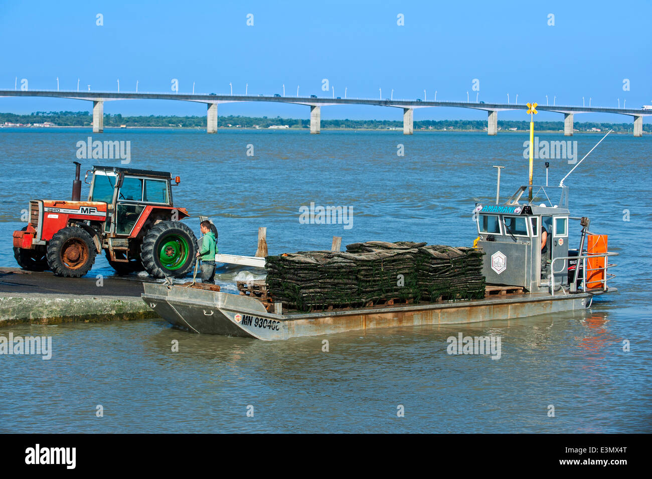 Il ponte Pont de l'île d'Oléron e appartamento toccò il fondo Oyster barca con sacchi di raccolta le ostriche a Bourcefranc-le-Chapus, Francia Foto Stock