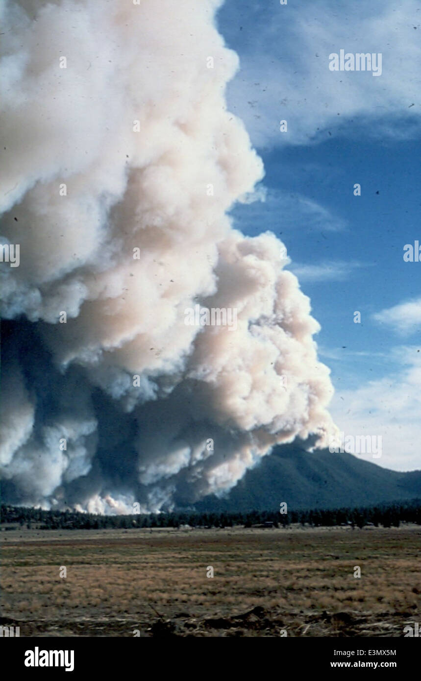 Il radio Fire nel 1977 bruciò una gran parte di una foresta nazionale, mettendo in evidenza le sfide della gestione e del recupero degli incendi. L'evento ha portato a cambiamenti significativi nella politica degli incendi boschivi e nelle pratiche di gestione del territorio. Foto Stock