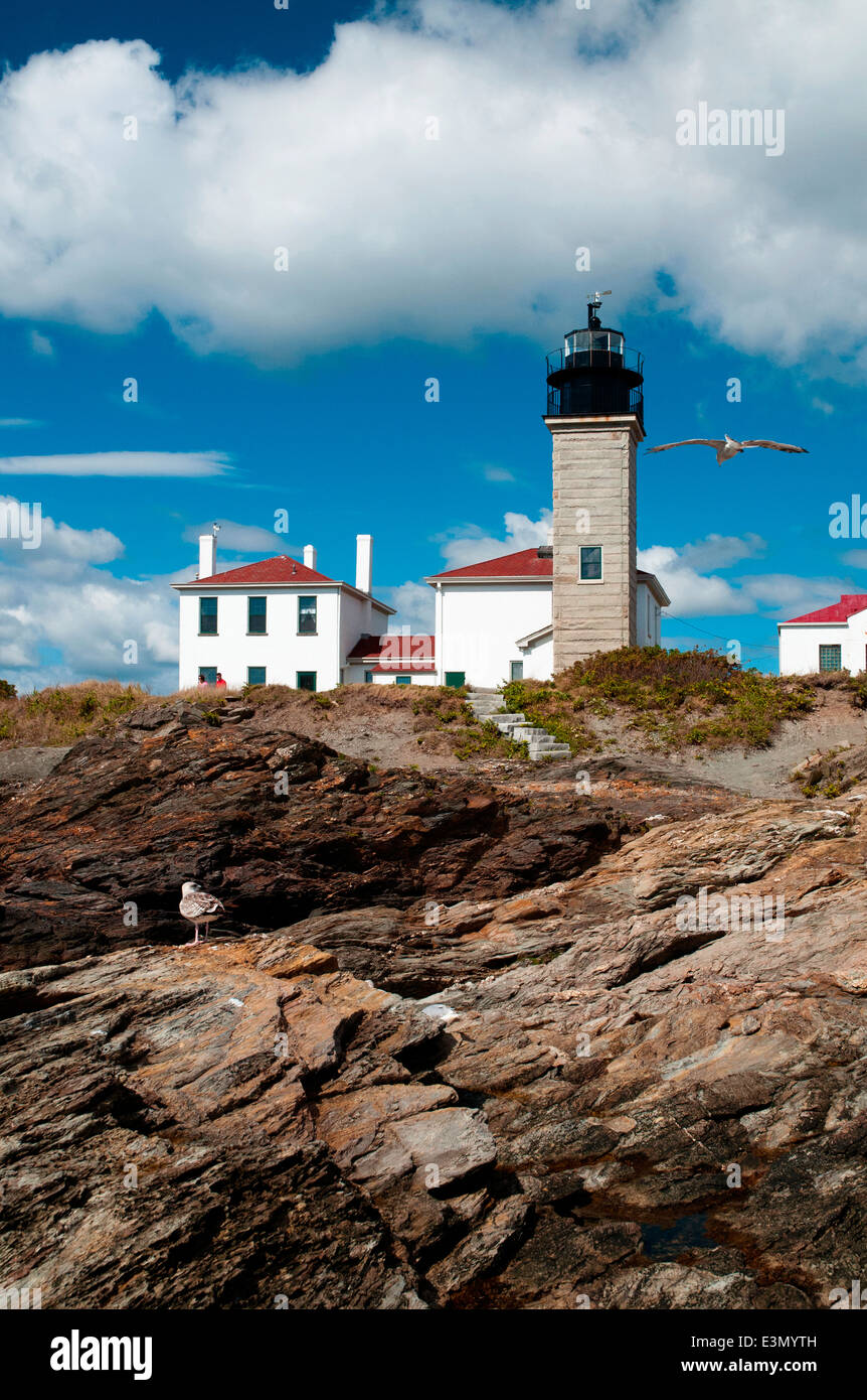 Seagull vola verso la torre del faro di coda di castoro su uniche formazioni rocciose in Rhode Island. Foto Stock