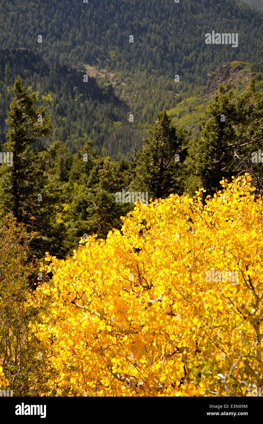 Affacciato su Bill Williams Mountain Foto Stock