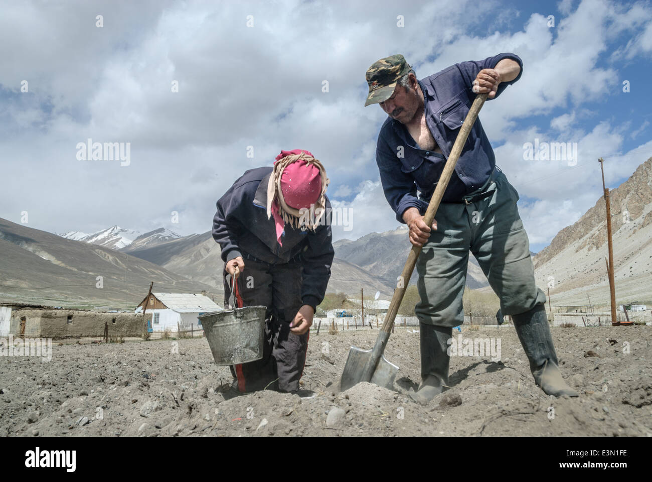 La gente la semina delle patate in un remoto villaggio vicino la Pamir Highway, in Tagikistan, in Asia centrale Foto Stock